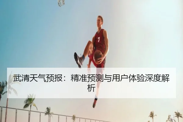 武清天气预报：精准预测与用户体验深度解析